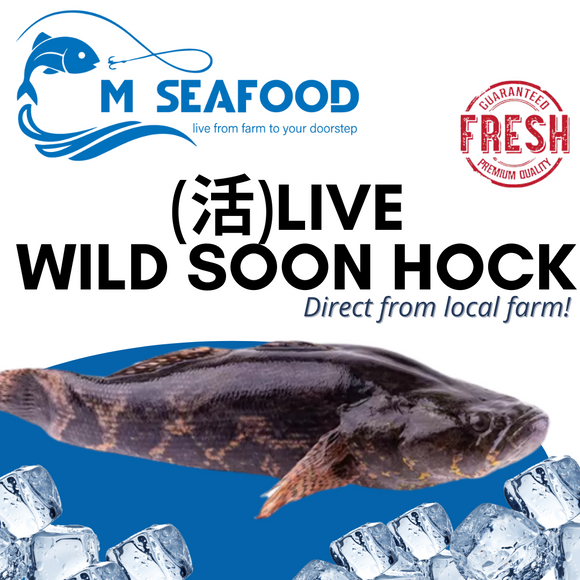 M Seafood Live Wild Soon Hock