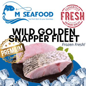 M Seafood Wild Golden Snapper Fillet