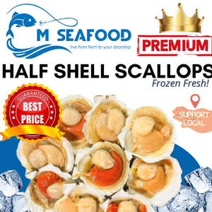 M Seafood Half Shell Scallops