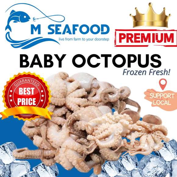 M Seafood Baby Octopus