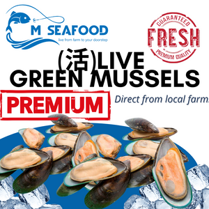 M Seafood Live Green Mussels