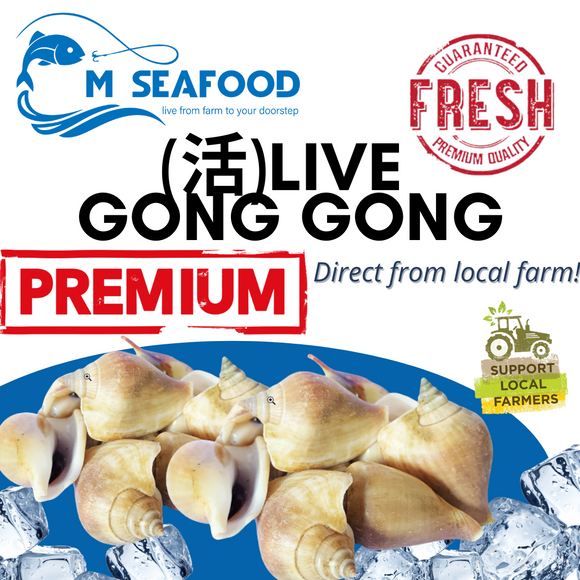M Seafood Live Gong Gong
