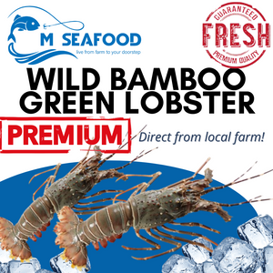 M Seafood Wild Bamboo Green Lobster
