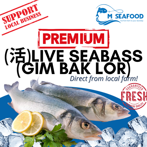 M Seafood Live Barramundi Seabass